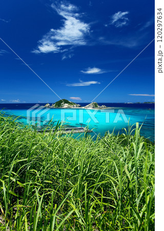 真夏の沖縄 渡嘉敷島の風景 真夏の沖縄 渡嘉敷島の風景 120297634