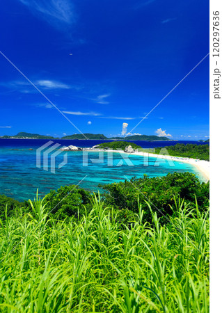 真夏の沖縄 渡嘉敷島の風景 真夏の沖縄 渡嘉敷島の風景 120297636