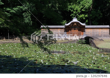初夏の小石川後楽園（内庭・唐門） 120297646