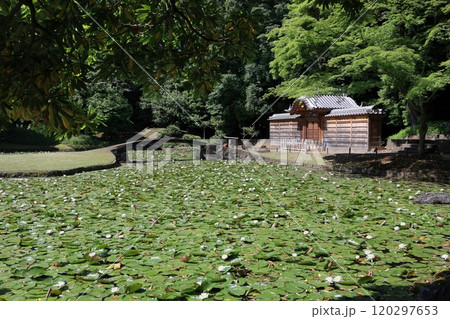 初夏の小石川後楽園(内庭・唐門) 初夏の小石川後楽園(内庭・唐門) 120297653