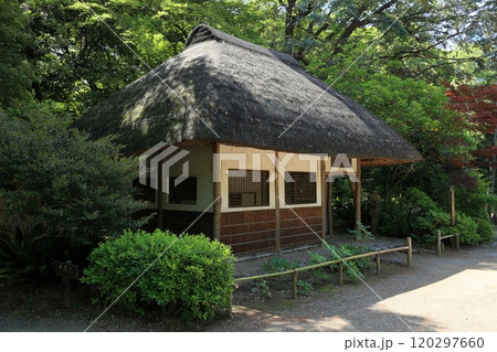 初夏の小石川後楽園(九八屋) 初夏の小石川後楽園(九八屋) 120297660