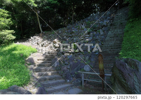 初夏の小石川後楽園（愛宕坂） 120297665