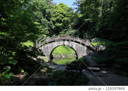 初夏の小石川後楽園（円月橋） 120297668