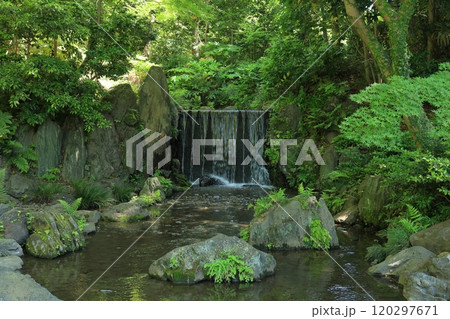 初夏の小石川後楽園（白糸の滝） 120297671
