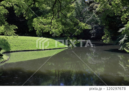 初夏の小石川後楽園 初夏の小石川後楽園 120297678