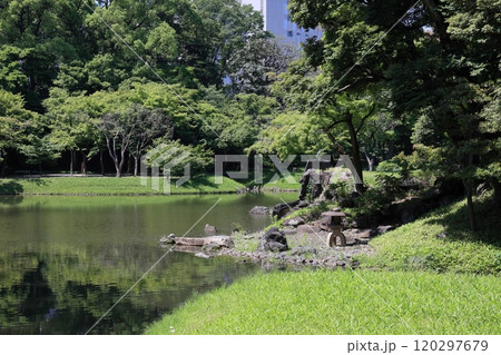 初夏の小石川後楽園 120297679