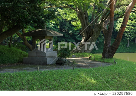 初夏の小石川後楽園 120297680