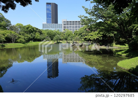 初夏の小石川後楽園（大泉水） 120297685