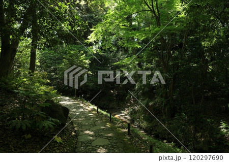 初夏の小石川後楽園（延段） 120297690