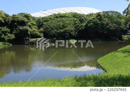 初夏の小石川後楽園（大泉水・東京ドーム） 120297691