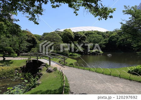 初夏の小石川後楽園 120297692