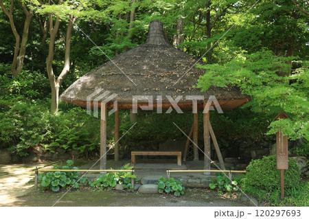 初夏の小石川後楽園（丸屋） 120297693