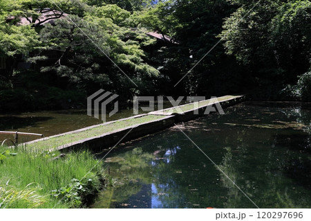 初夏の小石川後楽園(西湖の堤) 初夏の小石川後楽園(西湖の堤) 120297696