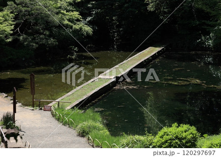 初夏の小石川後楽園(西湖の堤) 初夏の小石川後楽園(西湖の堤) 120297697