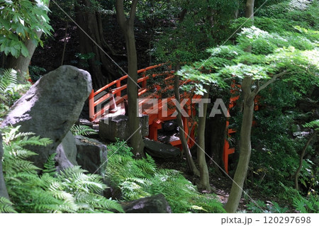 初夏の小石川後楽園(通天橋) 初夏の小石川後楽園(通天橋) 120297698