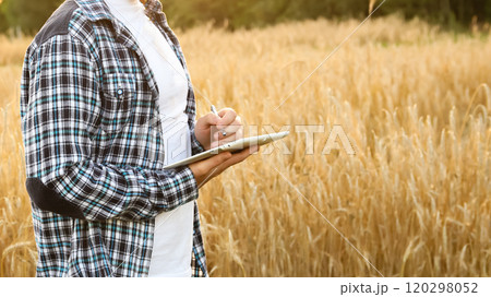 A farmer holding a tablet in a yellow wheat field. The vast, golden expanse of the field stretches out behind them, highlighting the integration of technology with agriculture 120298052