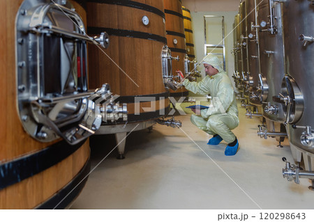 Winemaker working in modern large winery factory liquor drink industry quality. Staff inspecting wine in modern wine factory. Winery manufacturing quality control. Alcohol and wine winemaking process 120298643