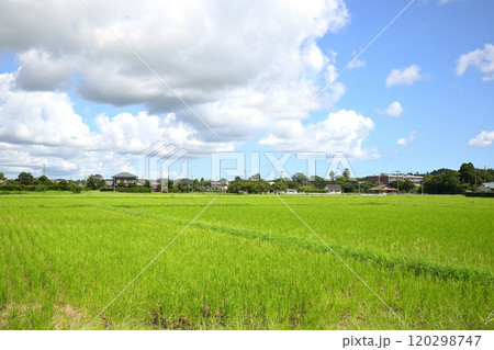 田園風景 120298747
