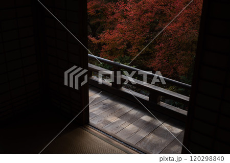 京都の秋紅葉狩り　 120298840