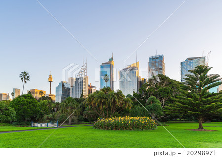 Vibrant Sydney City skyline at sunset 120298971