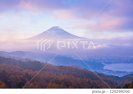 【山梨県】カラマツの黄葉、ピンク色に染まった雲海と富士山 【山梨県】カラマツの黄葉、ピンク色に染まった雲海と富士山 120299200