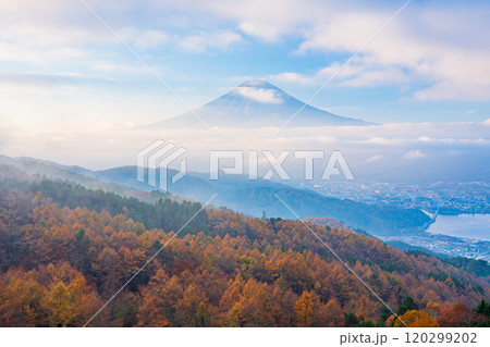 【山梨県】カラマツの黄葉、ピンク色に染まった雲海と富士山 【山梨県】カラマツの黄葉、ピンク色に染まった雲海と富士山 120299202