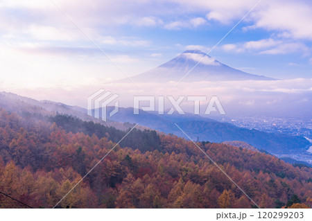 【山梨県】カラマツの黄葉、ピンク色に染まった雲海と富士山 【山梨県】カラマツの黄葉、ピンク色に染まった雲海と富士山 120299203