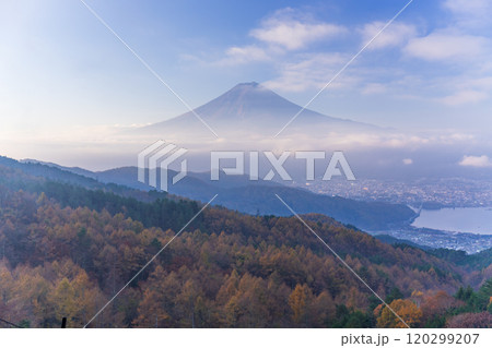 【山梨県】カラマツの黄葉、ピンク色に染まった雲海と富士山 【山梨県】カラマツの黄葉、ピンク色に染まった雲海と富士山 120299207