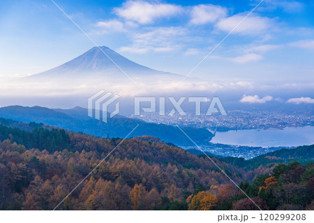 【山梨県】カラマツの黄葉、ピンク色に染まった雲海と富士山 【山梨県】カラマツの黄葉、ピンク色に染まった雲海と富士山 120299208