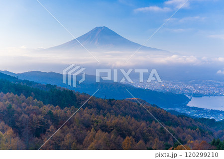 【山梨県】カラマツの黄葉、ピンク色に染まった雲海と富士山 120299210