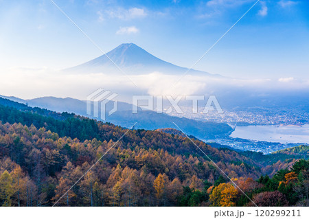 【山梨県】カラマツの黄葉、ピンク色に染まった雲海と富士山 120299211