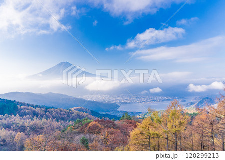 【山梨県】カラマツの黄葉、ピンク色に染まった雲海と富士山 120299213