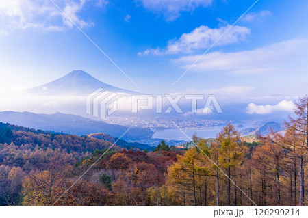 【山梨県】カラマツの黄葉、ピンク色に染まった雲海と富士山 120299214
