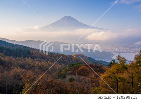 【山梨県】カラマツの黄葉、ピンク色に染まった雲海と富士山 120299215