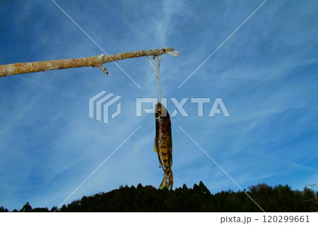 岩魚の燻製 120299661