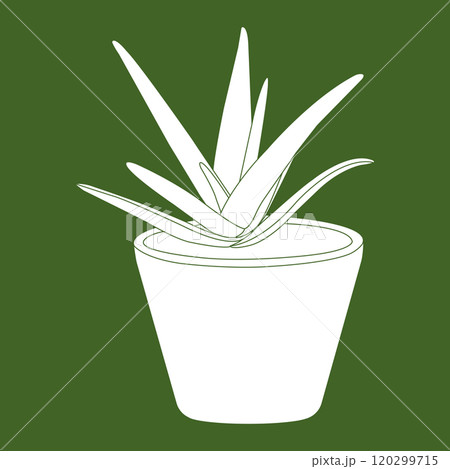 aloe vera icon 120299715