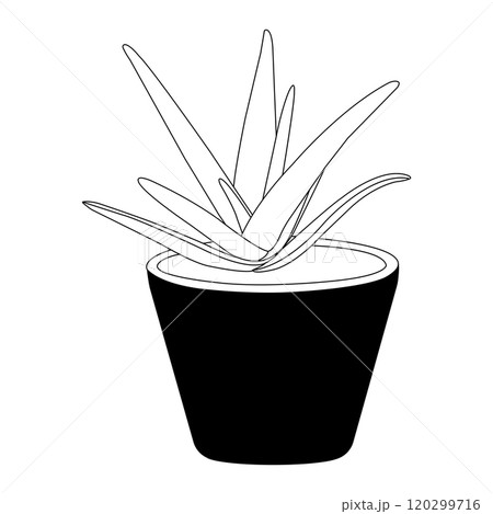 aloe vera icon 120299716