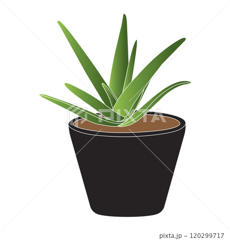 aloe vera icon 120299717