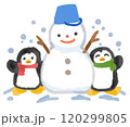 雪だるまを作って遊んでいる二匹のペンギン 120299805