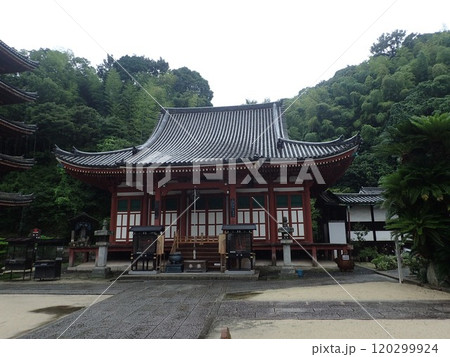 広島県福山市草戸町にある真言宗大覚寺派の仏教寺院で芦田川に面した愛宕山の麓にある空海が創建した明王院 120299924