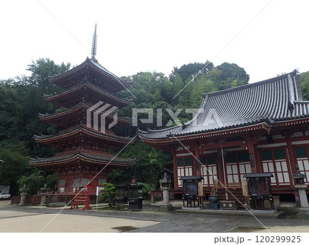 広島県福山市草戸町にある真言宗大覚寺派の仏教寺院で芦田川に面した愛宕山の麓にある空海が創建した明王院 広島県福山市草戸町にある真言宗大覚寺派の仏教寺院で芦田川に面した愛宕山の麓にある空海が創建した明王院 120299925