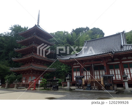 広島県福山市草戸町にある真言宗大覚寺派の仏教寺院で芦田川に面した愛宕山の麓にある空海が創建した明王院 120299926