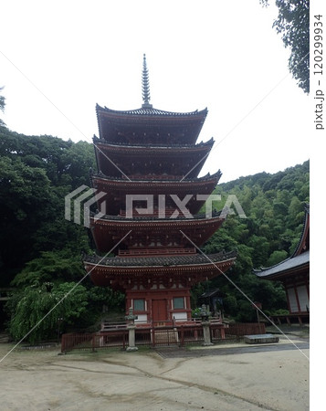 広島県福山市草戸町にある真言宗大覚寺派の仏教寺院で芦田川に面した愛宕山の麓にある空海が創建した明王院 広島県福山市草戸町にある真言宗大覚寺派の仏教寺院で芦田川に面した愛宕山の麓にある空海が創建した明王院 120299934