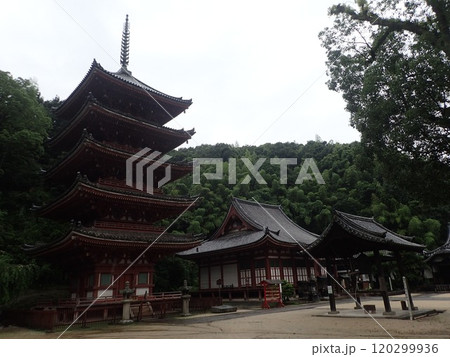 広島県福山市草戸町にある真言宗大覚寺派の仏教寺院で芦田川に面した愛宕山の麓にある空海が創建した明王院 広島県福山市草戸町にある真言宗大覚寺派の仏教寺院で芦田川に面した愛宕山の麓にある空海が創建した明王院 120299936