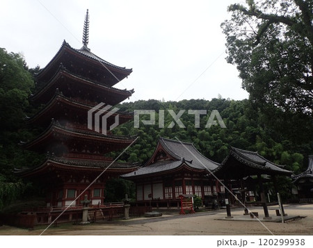 広島県福山市草戸町にある真言宗大覚寺派の仏教寺院で芦田川に面した愛宕山の麓にある空海が創建した明王院 広島県福山市草戸町にある真言宗大覚寺派の仏教寺院で芦田川に面した愛宕山の麓にある空海が創建した明王院 120299938