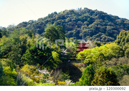 京都　春の清水寺　子安の塔 120300092