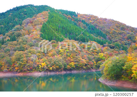 紅葉した山 紅葉した山 120300257