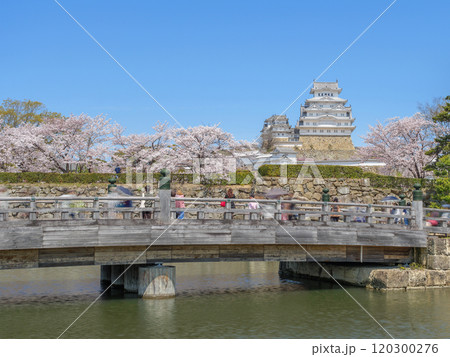 満開の桜と姫路城桜門橋 満開の桜と姫路城桜門橋 120300276