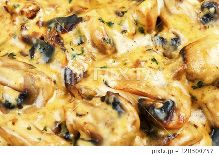 Fricassee, French Cuisine. Fricassee, French Cuisine. 120300757
