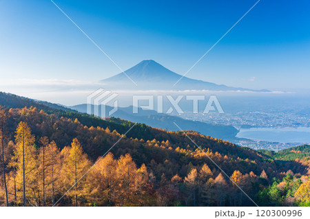 【山梨県】カラマツの黄葉、雲海と富士山 120300996
